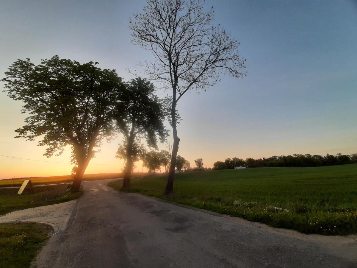 Noclegi Zdzislaw Sieradzki Zbiczno Buitenkant foto