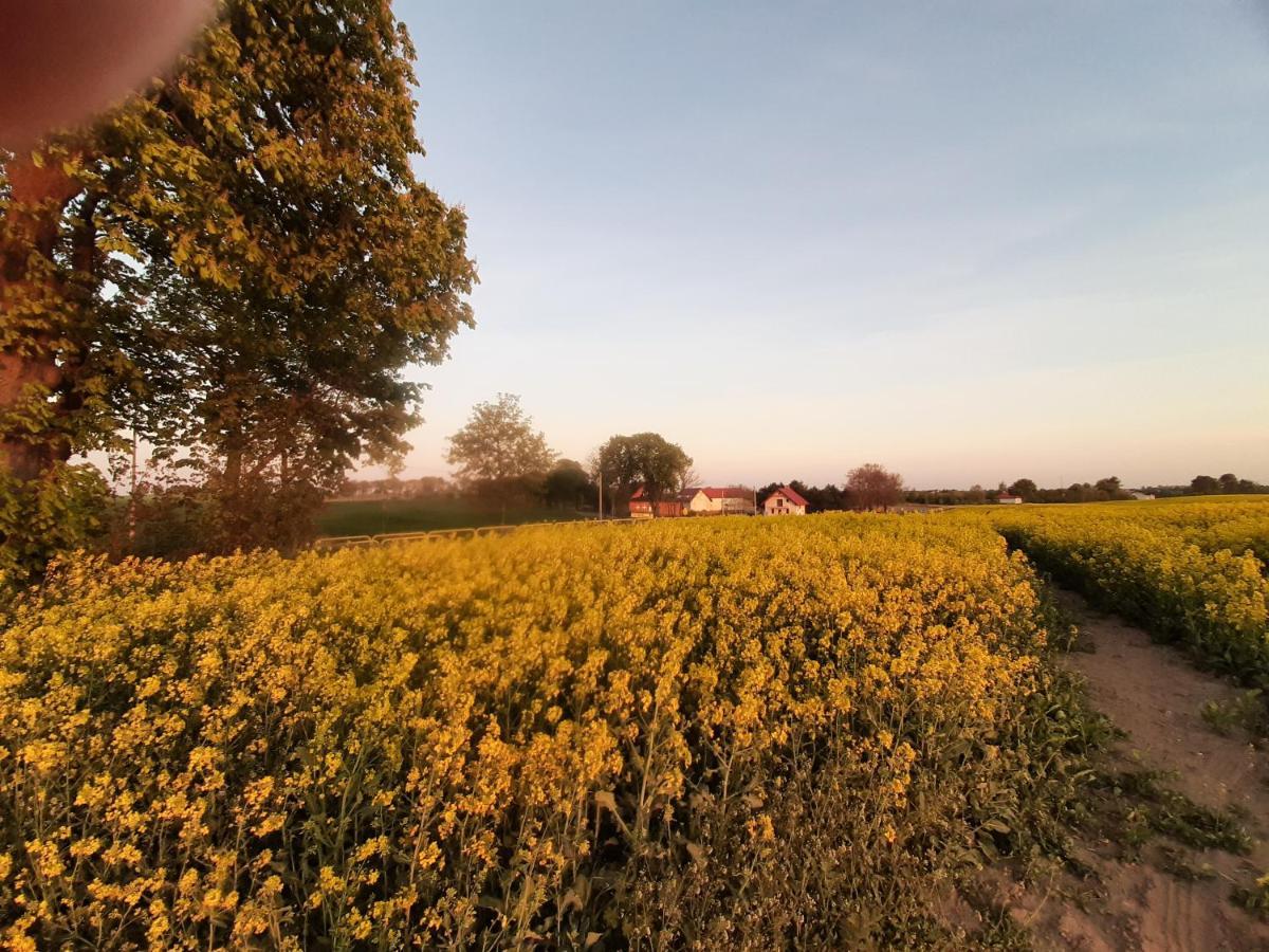 Noclegi Zdzislaw Sieradzki Zbiczno Buitenkant foto