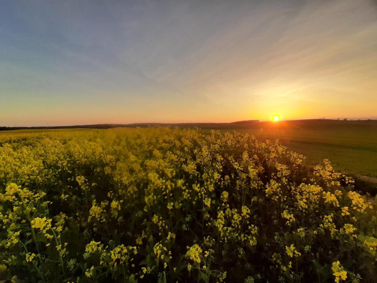 Noclegi Zdzislaw Sieradzki Zbiczno Buitenkant foto