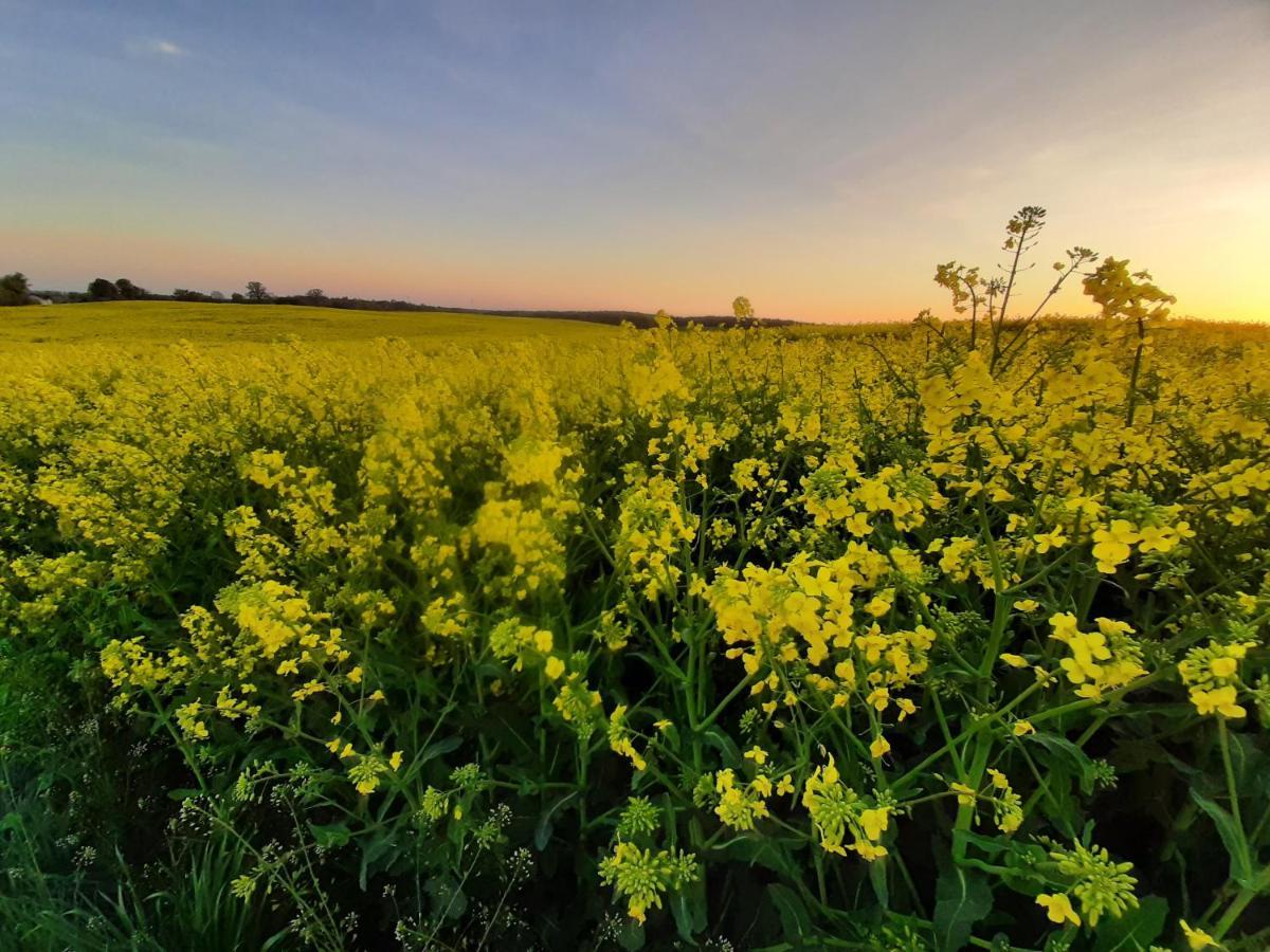 Noclegi Zdzislaw Sieradzki Zbiczno Buitenkant foto