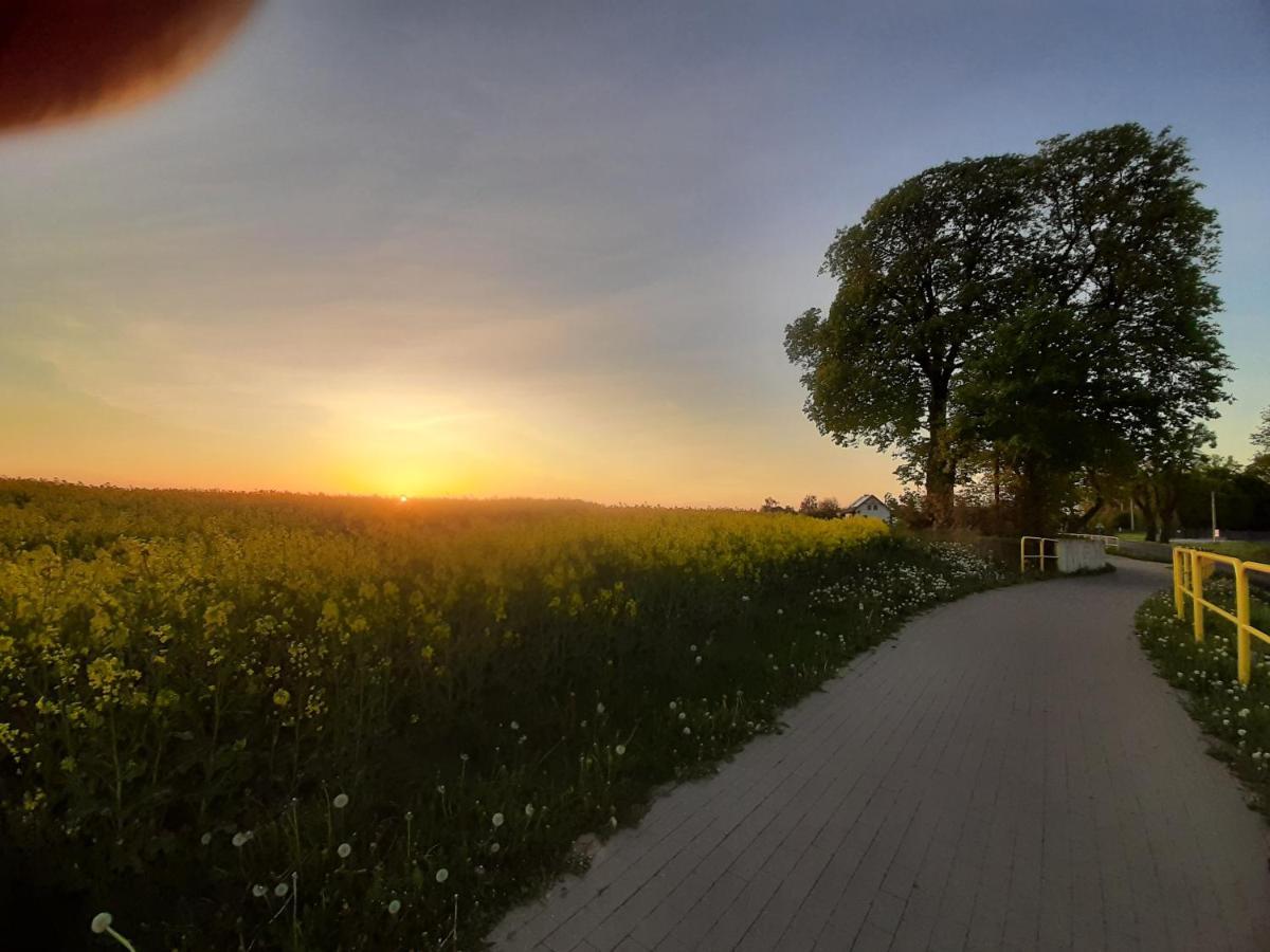 Noclegi Zdzislaw Sieradzki Zbiczno Buitenkant foto