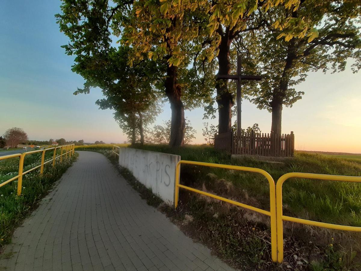 Noclegi Zdzislaw Sieradzki Zbiczno Buitenkant foto