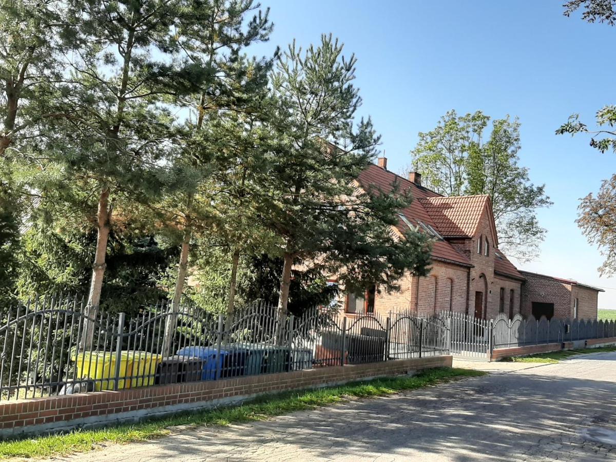 Noclegi Zdzislaw Sieradzki Zbiczno Buitenkant foto