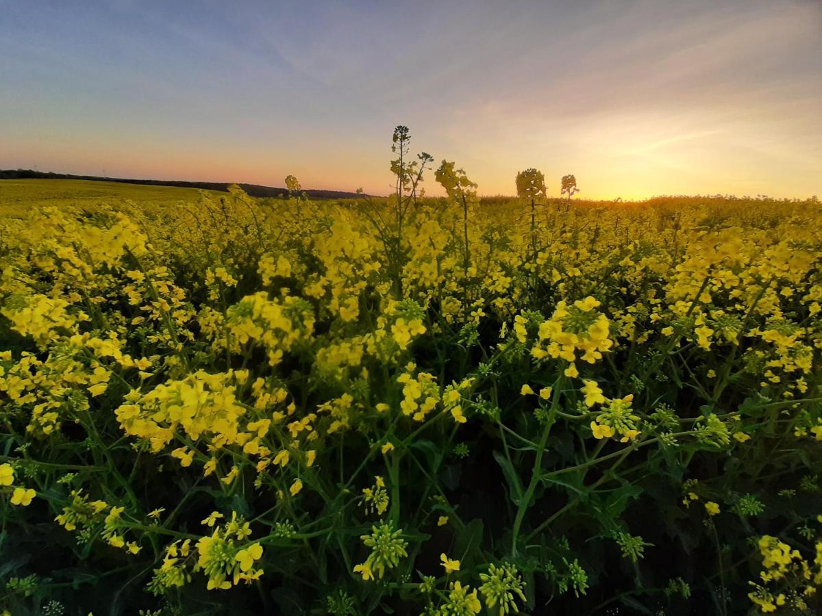 Noclegi Zdzislaw Sieradzki Zbiczno Buitenkant foto