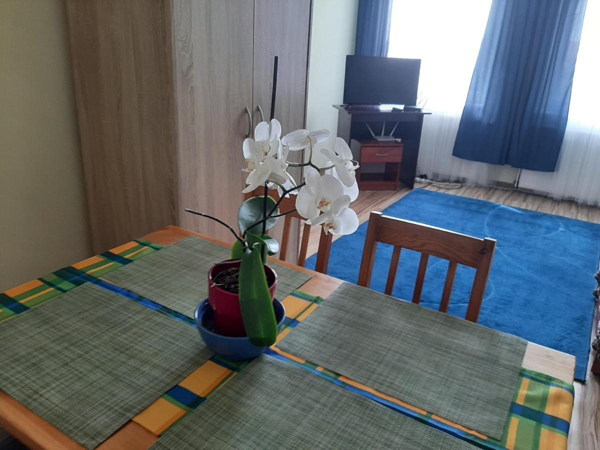 Noclegi Zdzislaw Sieradzki Zbiczno Buitenkant foto