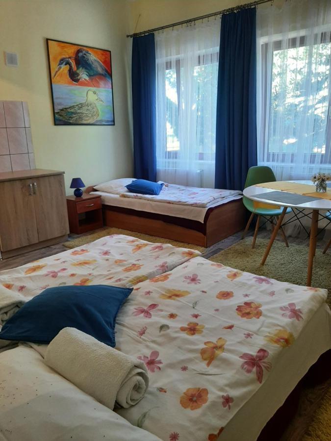 Noclegi Zdzislaw Sieradzki Zbiczno Buitenkant foto
