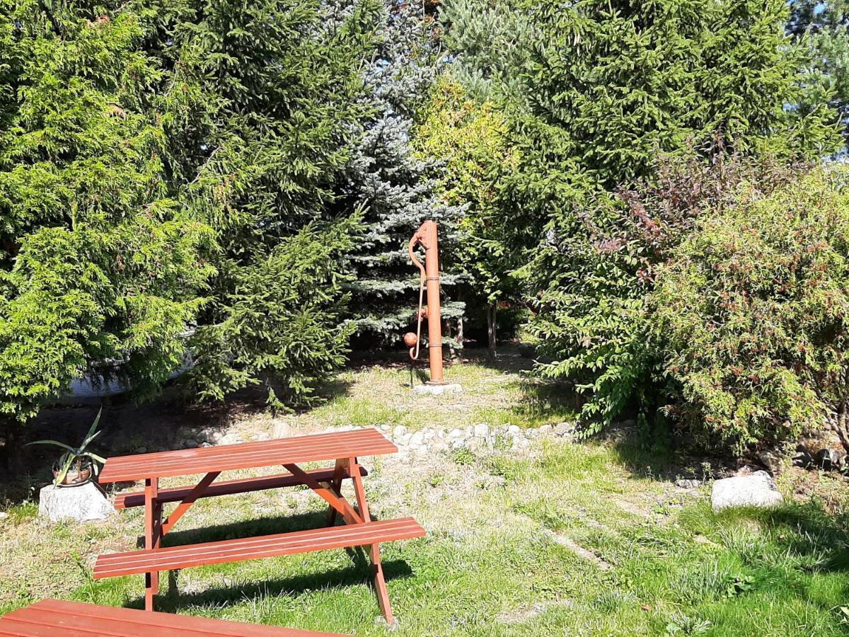 Noclegi Zdzislaw Sieradzki Zbiczno Buitenkant foto