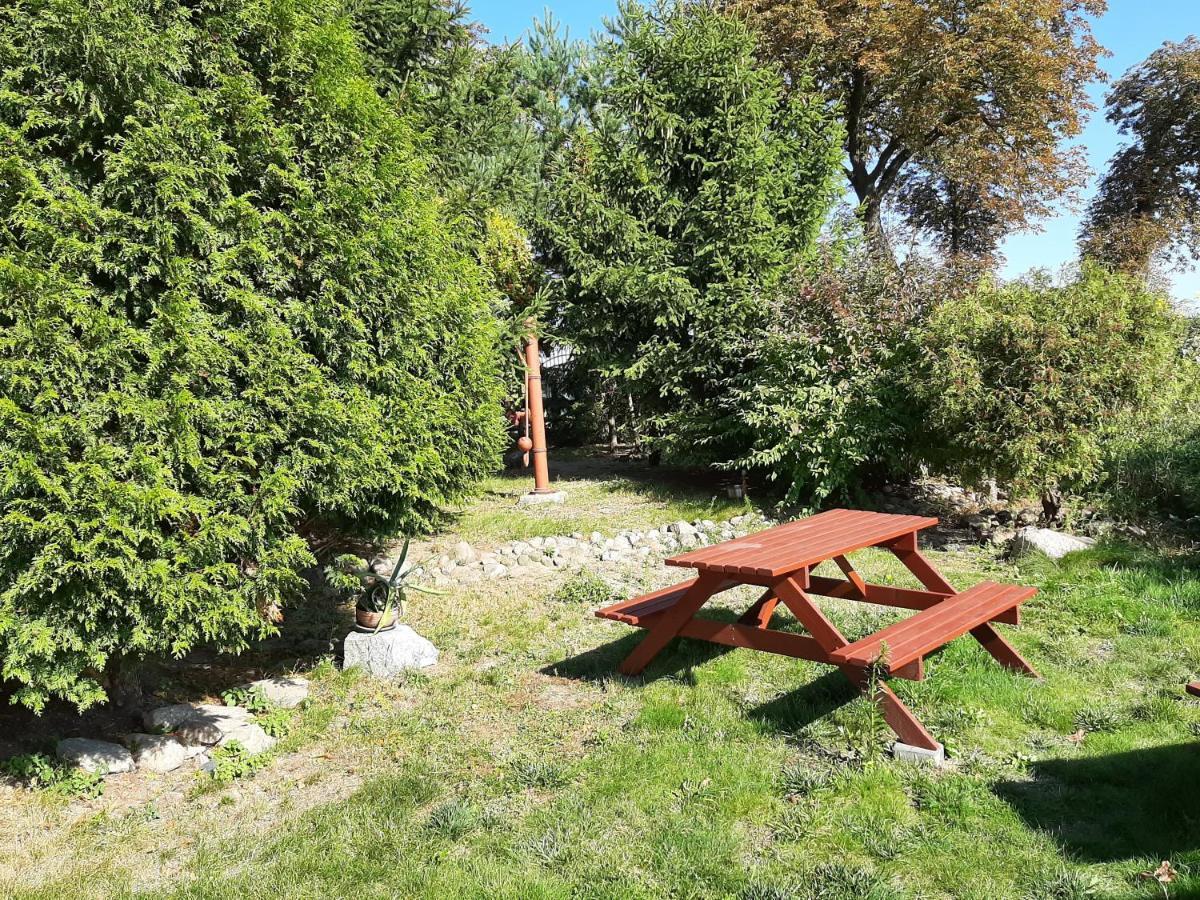 Noclegi Zdzislaw Sieradzki Zbiczno Buitenkant foto